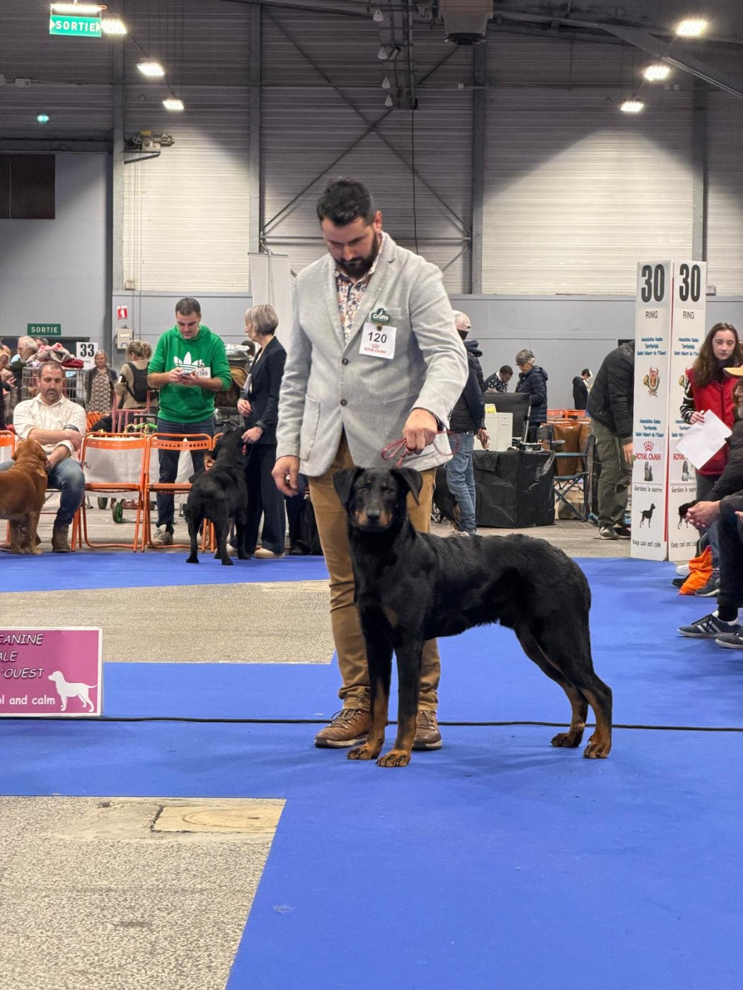 APOLLON des Bas Rouges de Madame
